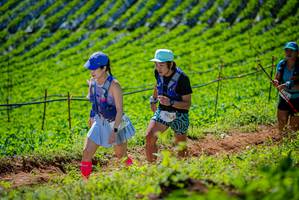 BIB: 
                            <button type="button" onclick="openModal(19162778)" class="btn btn-primary btn-sm float-right btn-popup" data-toggle="modal" data-target=".modal-high-quality">
                        <i class="fas fa-shopping-cart"></i> Add to Cart
                    </button>
                                            <button type="button" onclick="isThisMe(19162778, true)" class="btn btn-success btn-sm float-right btn-popup btn-isme hidden" data-toggle="tooltip" data-placement="bottom" title="นี่คือรูปของคุณใช่ไหม คลิกที่นี่เพื่อเอาเข้าอัลบั้ม">
                        <i class="fas fa-plus"></i> Add to album
                    </button>
                    <button type="button" onclick="isThisMe(19162778, false)" class="btn btn-warning btn-sm float-right btn-popup btn-isnotme hidden">
                        <i class="fas fa-ban"></i> Remove from album
                    </button>